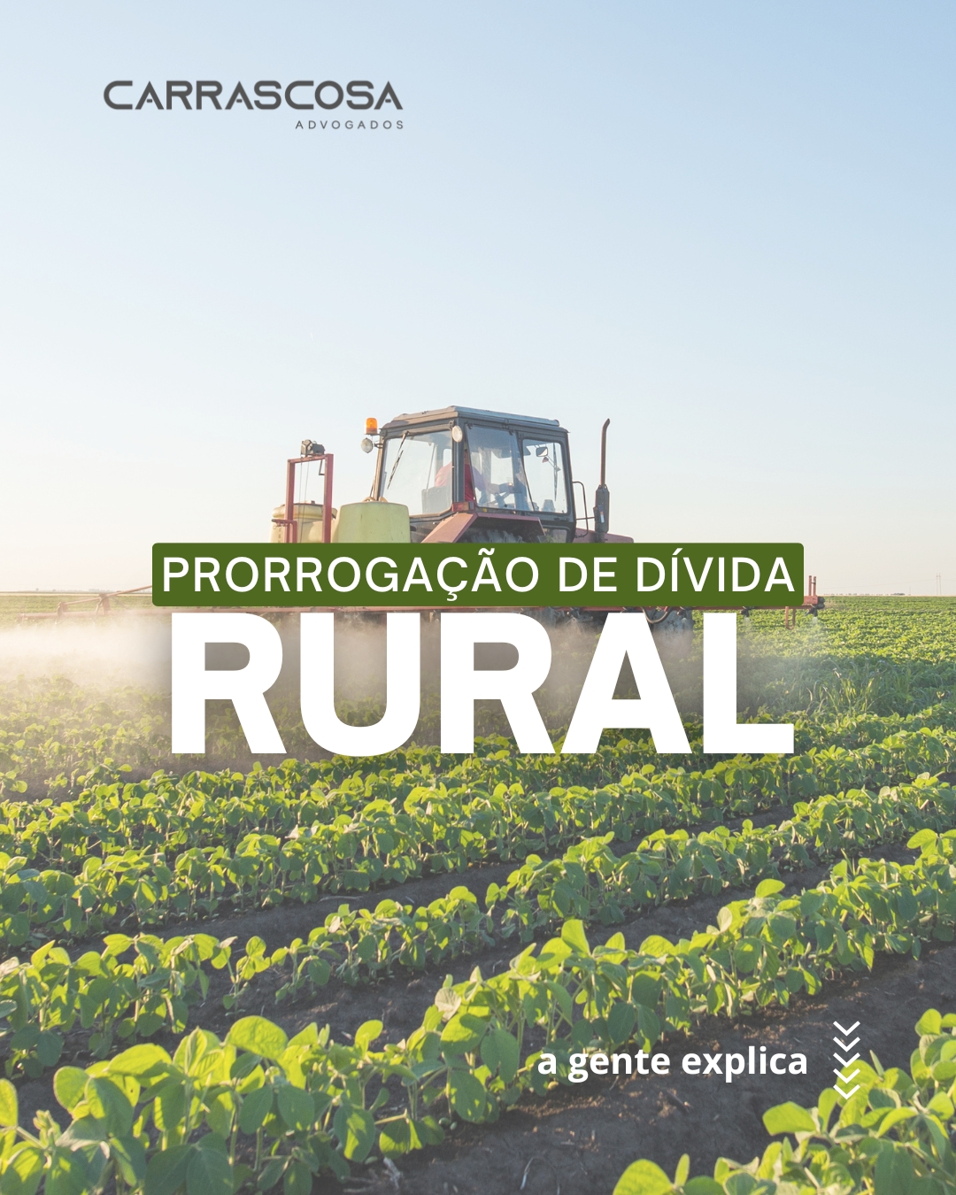 Prorrogação da Dívida Rural: Quando e como você pode pedir